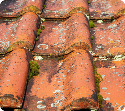 Toiture tuiles sales